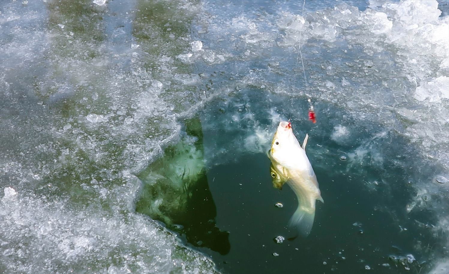 大板|大雪过后的冬钓，我们需要面对哪些痛点？