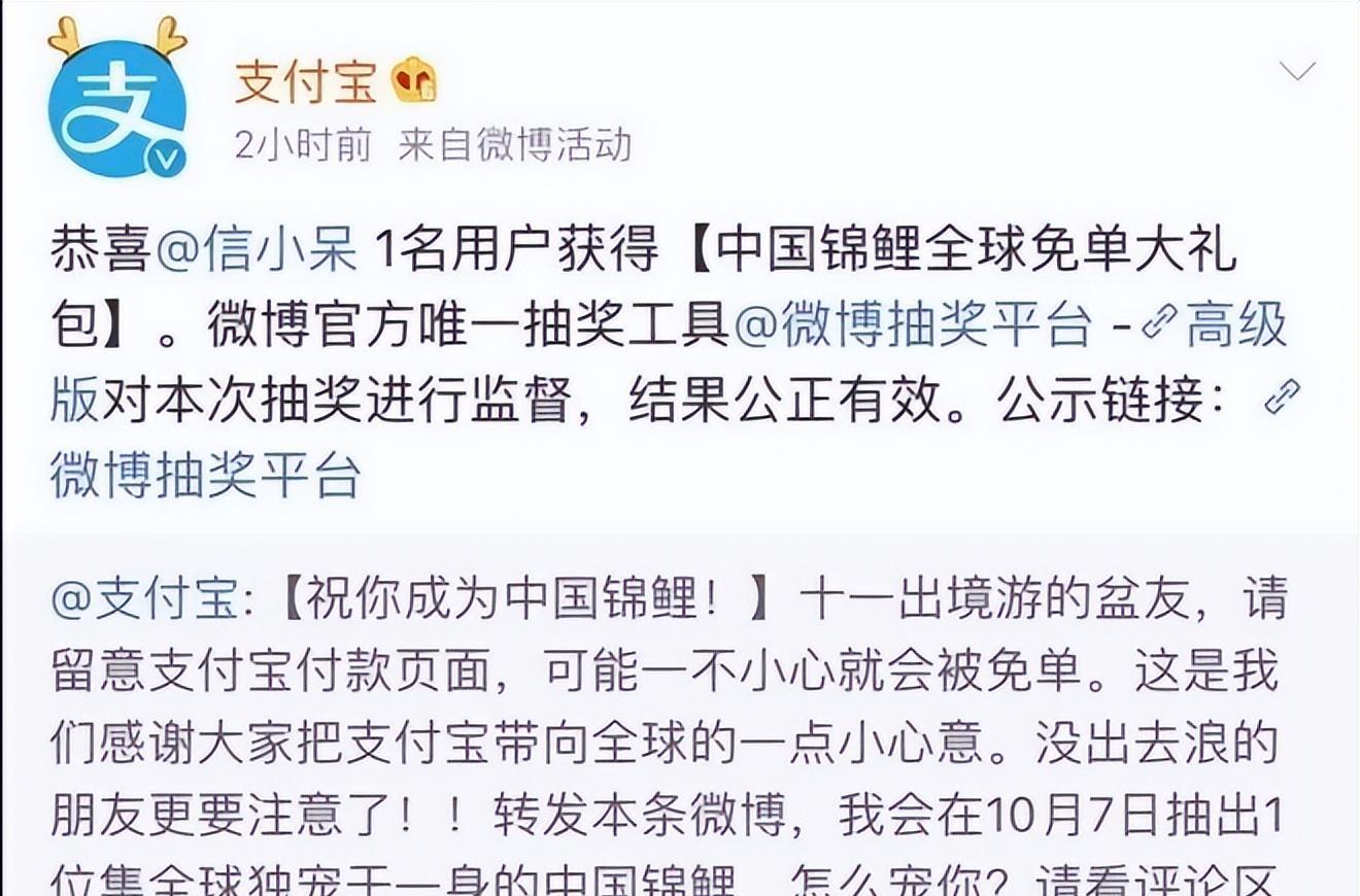 信小呆|信小呆：4年前中支付宝一亿大奖，辞职环游世界，如今没钱没工作