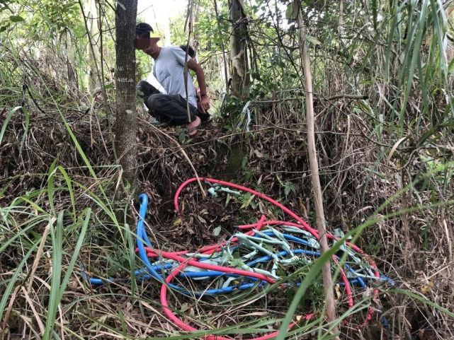 岑溪多个乡镇通讯基站电缆遭盗窃,警方快速出击一网打尽
