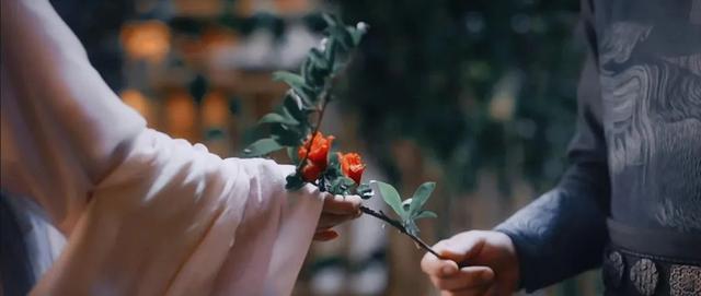 刘亦菲|《梦华录》和刘亦菲适配度最高的，是TA