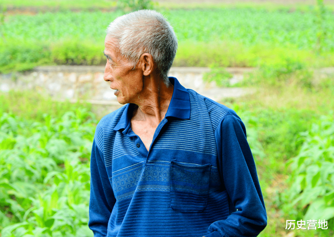 河南|河南农民钓到“乌龟”,背插4支箭,拿出鉴定后专家大喜:值18亿