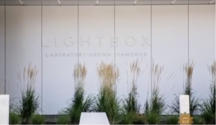 【培育钻石】戴比尔斯的Lightbox的生长环境是怎么样的？