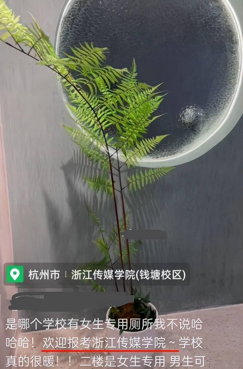 浙传将部分卫生间改为女生专用,引发网友热议!来看看网友怎么说