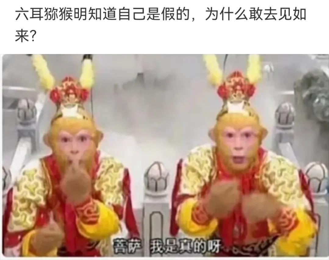 神回复|神回复：导演说行，那就行，导演说不行，那就不行