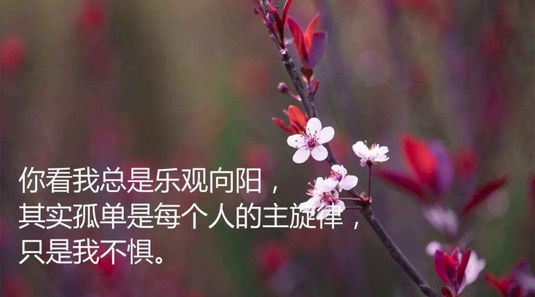 |敢于尝试,才能创造未知的可能......