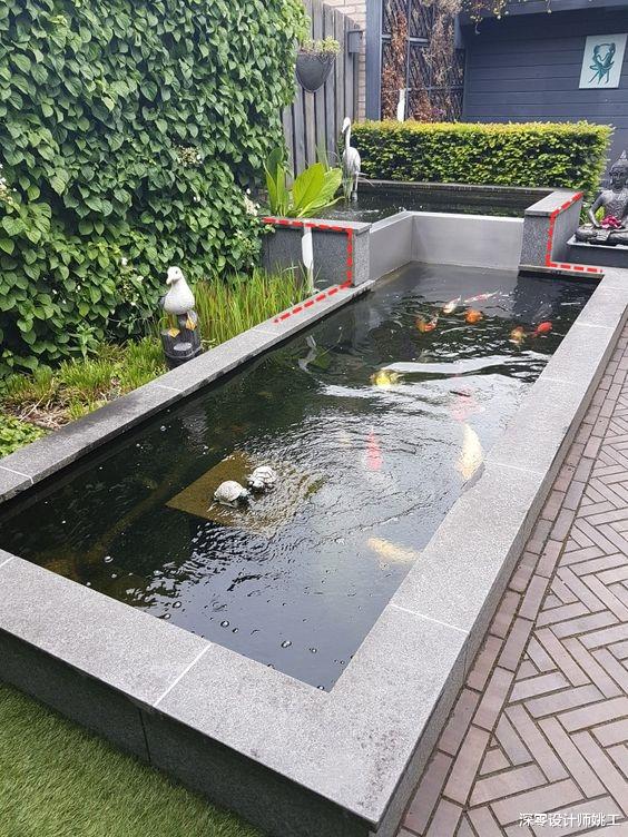 |喜欢养鱼的看过来！6款鱼池样式，错层、花坛、景观墙不信一个也不喜欢