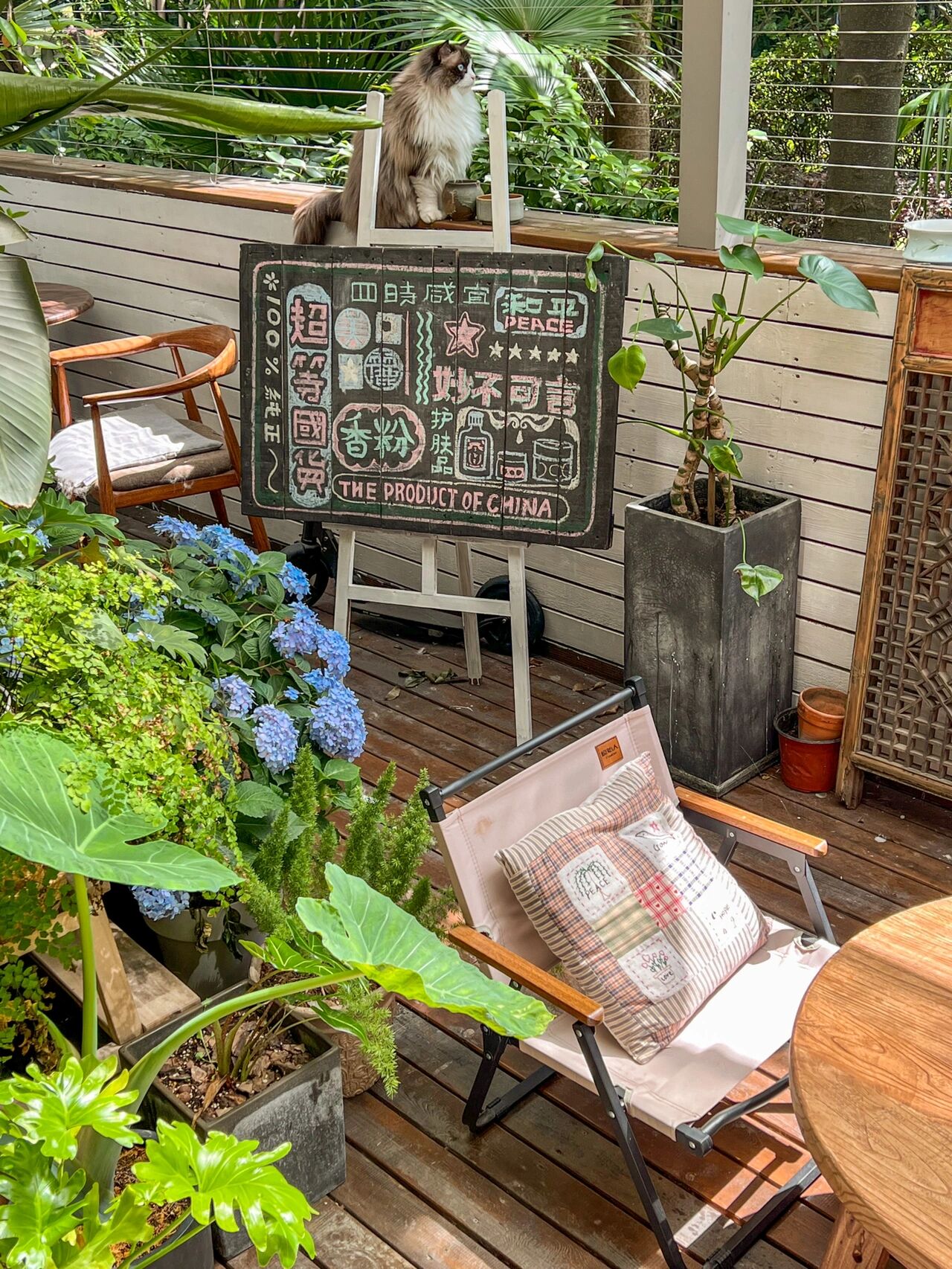 不顾父母反对,还是买了一楼带院的房子,种满植物花草就是花园