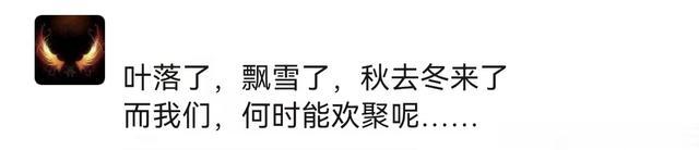 郑州下雪了!网友:等我明天出来