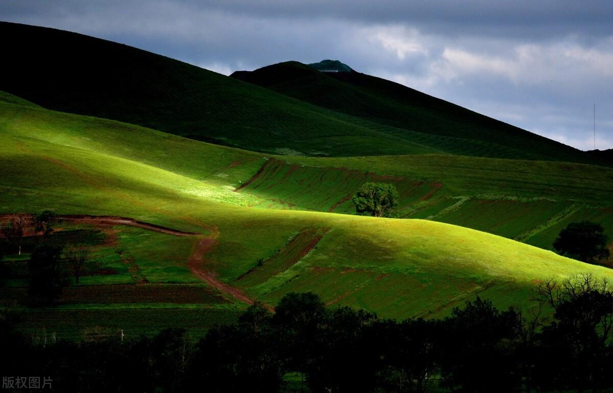 |郭进拴|绝美的坝上