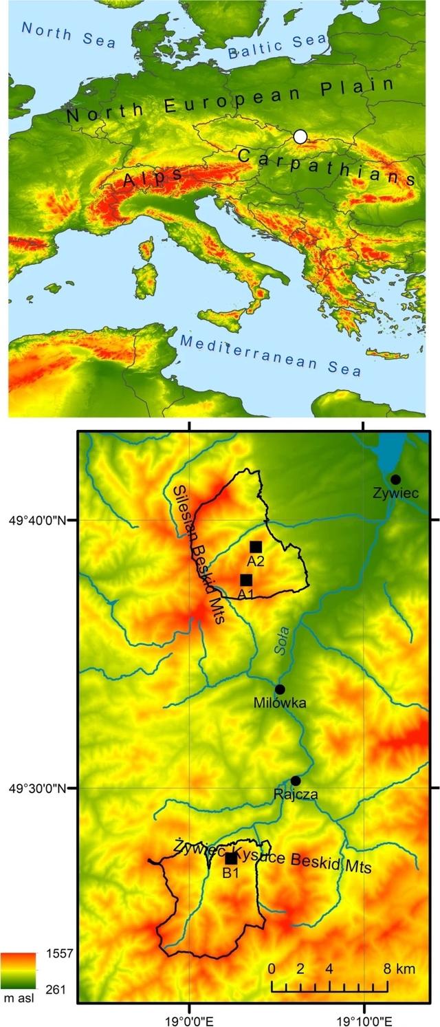 营收|西喀尔巴阡山脉边缘地区重新造林的决定因素