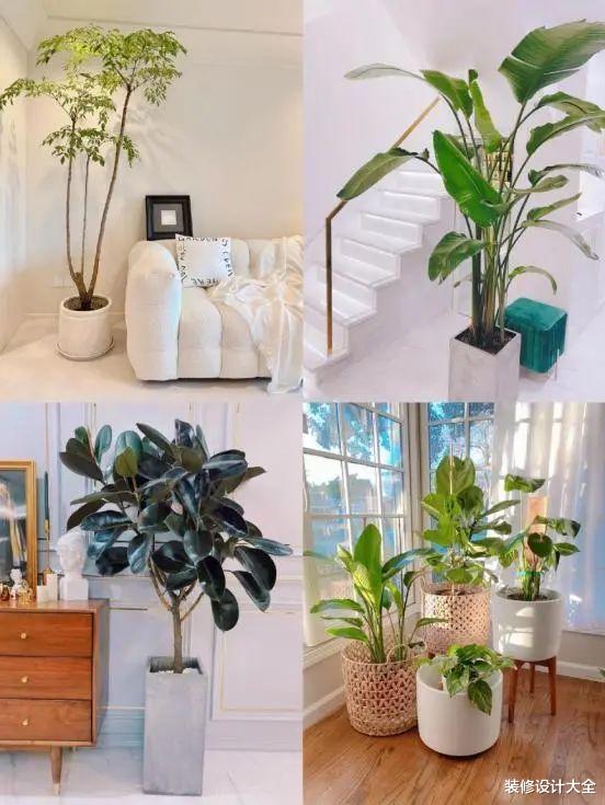 客厅就要这样设计,颜值实用都有了,老妈看了都要夸!