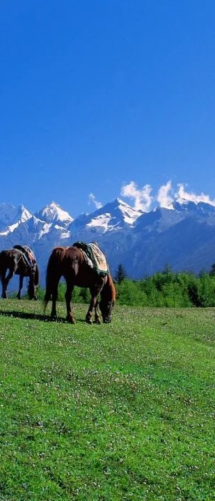 桐庐|“文旅局长说文旅” | 卷出了风采引来了客