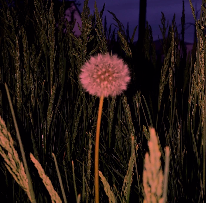 微信|QQ 微信 背景图 | 既然来了,那我就一定要把它做好