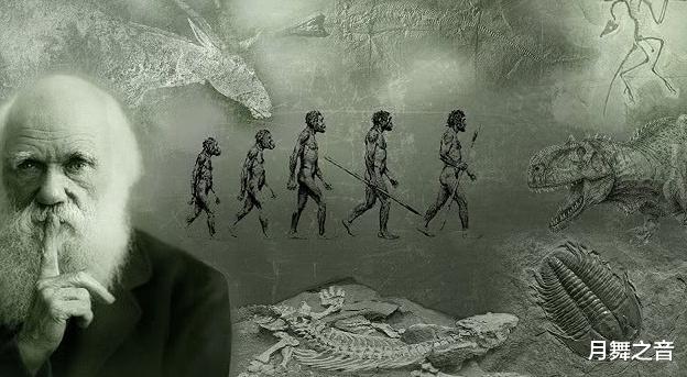 人类几千年没有变化了,是人类停止进化了吗?专家:其实还在继续