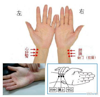 高血压|中医各种脉的辨别及主病