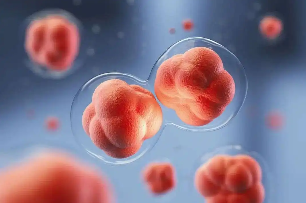 山药|癌症晚期，黄芪搭上“它”每天喝，让我带瘤生存10年