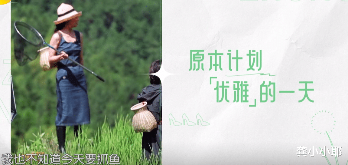 殷桃|殷桃、谢霆锋,这或许就是演员的素养!