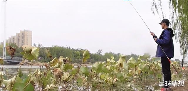 宿舍|春季钓鱼,你真的会打隔夜窝?打窝后没鱼口怎么办?