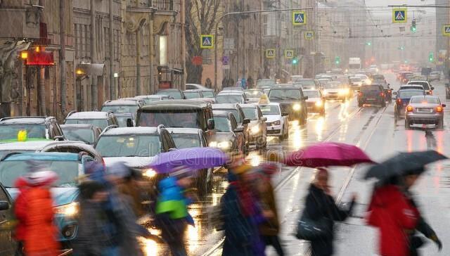 老司机|经常开车的人与不开车的人有什么不同？