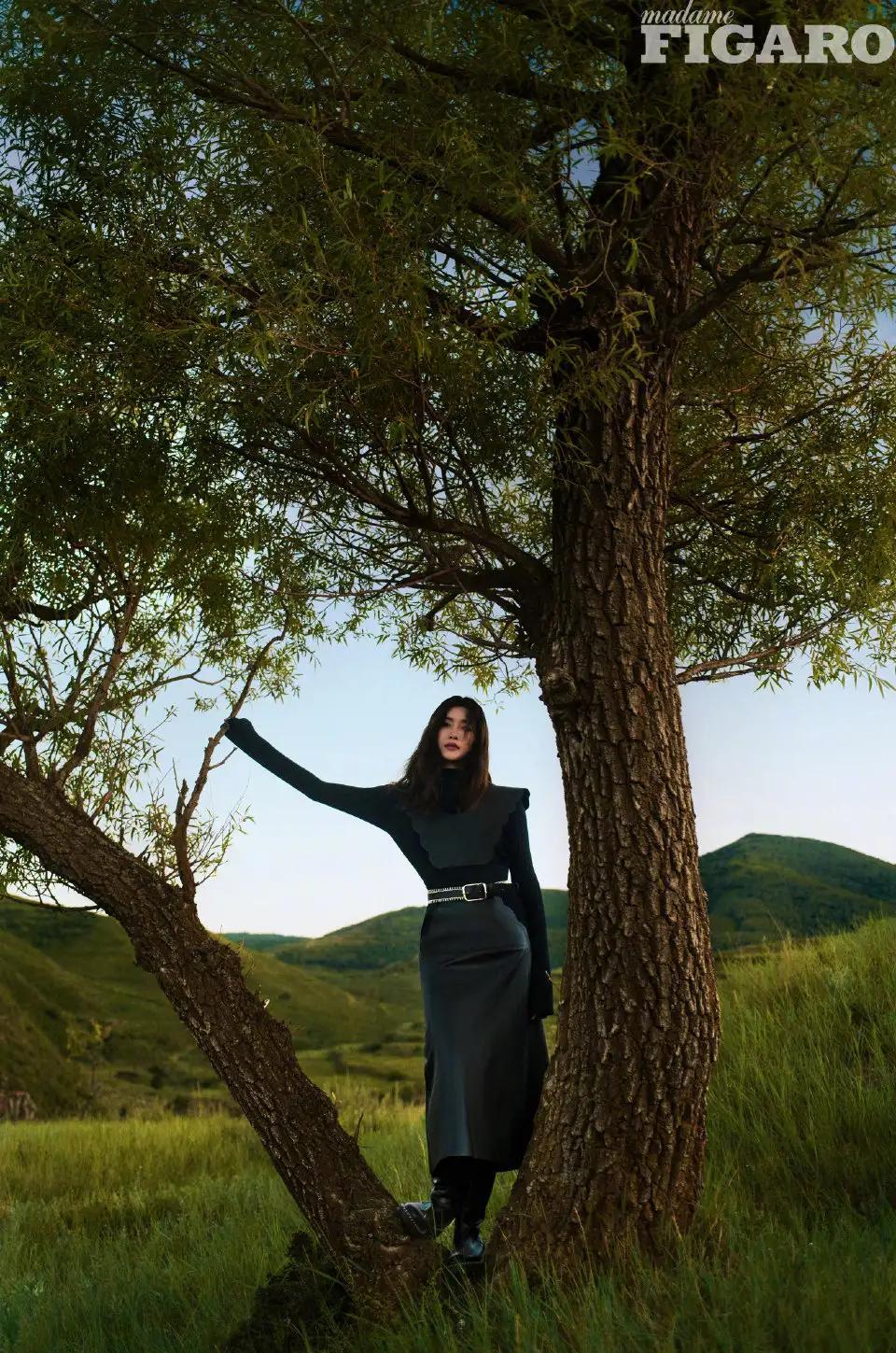 费加罗figaro|江疏影登费加罗十月刊封面，温柔秋日，清冷而慵懒