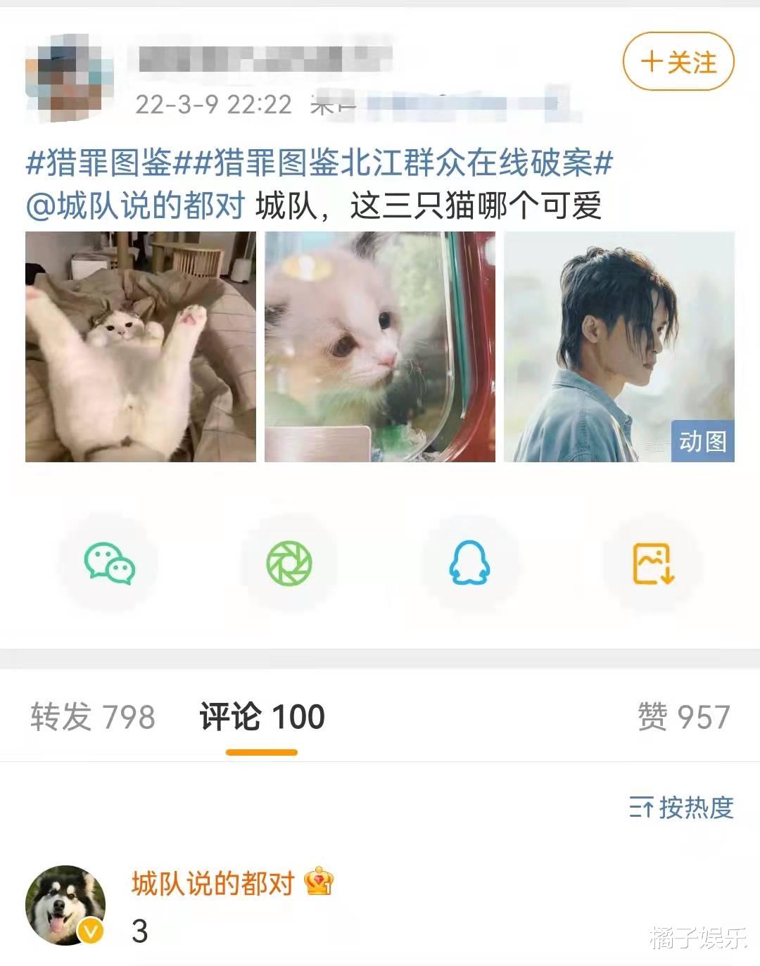 沈翊|猫狗系警官？《猎罪图鉴》金世佳檀健次惊险追凶，拿画笔当武器？