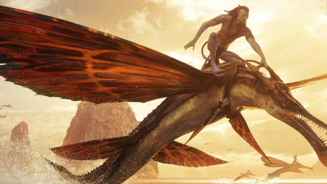 阿凡达2|第49周中美票房报告：无新片上榜，整个市场都在等待《阿凡达2》