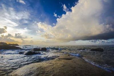 |如何在职场发挥自己的实力？