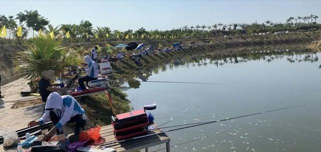 钓鱼|一条小水沟成天然黑坑，引来无数的钓鱼人，有人还带来了女朋友
