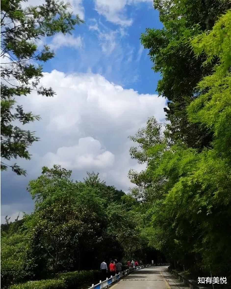 旅行|国内16个省级森林公园，城市的“绿色之肺”，你去过几个呢？