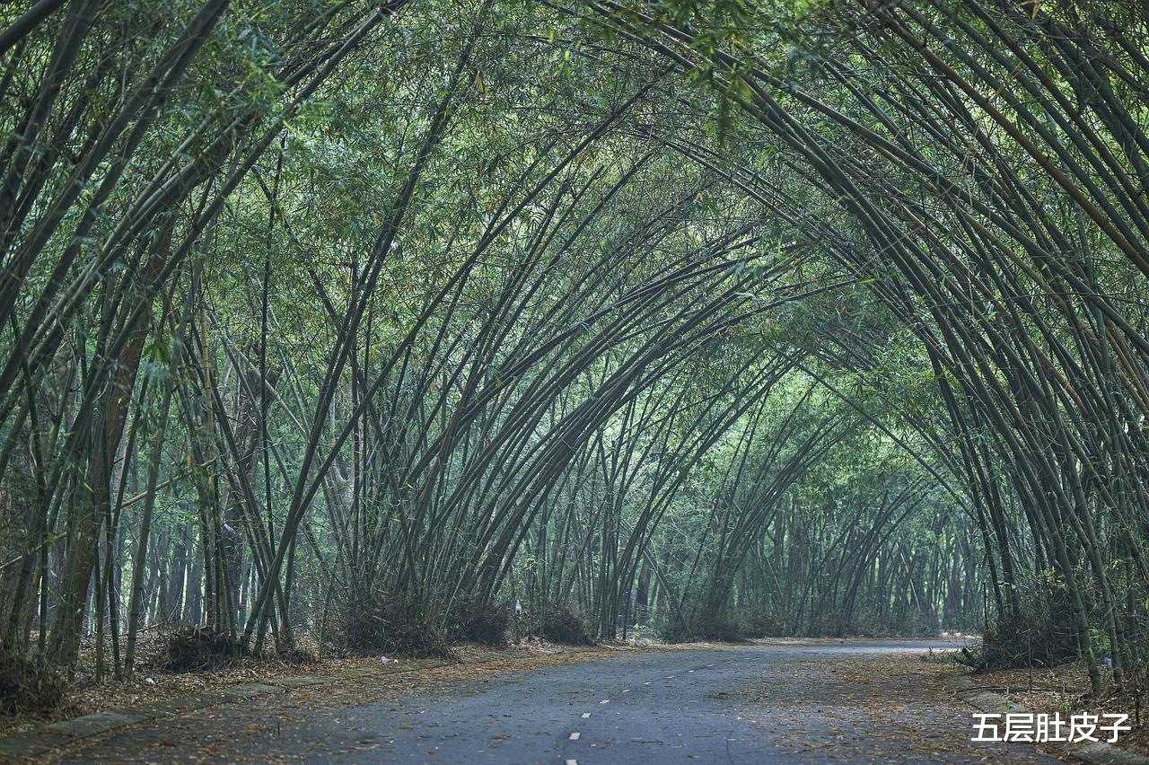 购房置业|男友说:他绝不做房奴,要一辈子租房子!我考虑了几天,只能再见