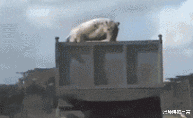 朱亚文|当1.85米胡歌撞上1.80朱亚文,网友:这身高,尴尬不已