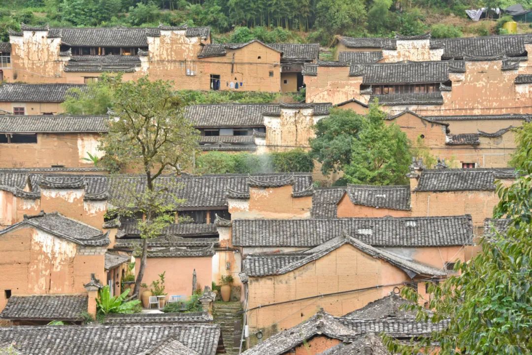 |浙南这座360年历史的古村,由于风景太治愈,意外成为网红!
