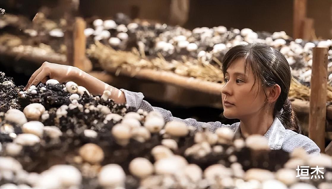 热依扎|热依扎的辛酸成名史，和她与孙俪的微妙关系