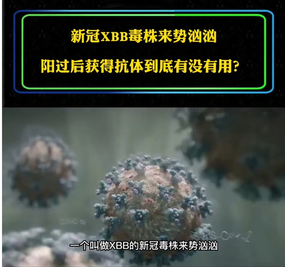 阳康之后,我们体内的抗体还有用吗