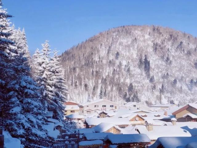 为什么东北人很少有碰瓷的？