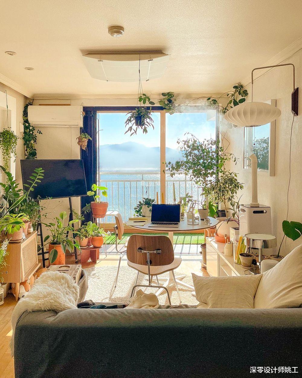 也只有年轻人能干这样的事儿吧!室内铺满绿植,就像进入“森林”般