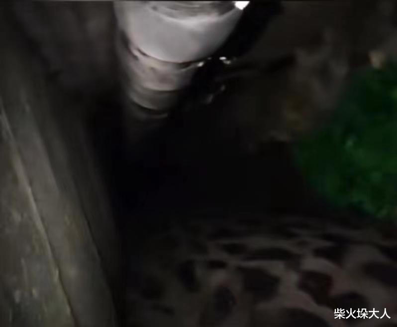 换宿舍发现惊天故事!某高校宿舍内惊现地下通道!