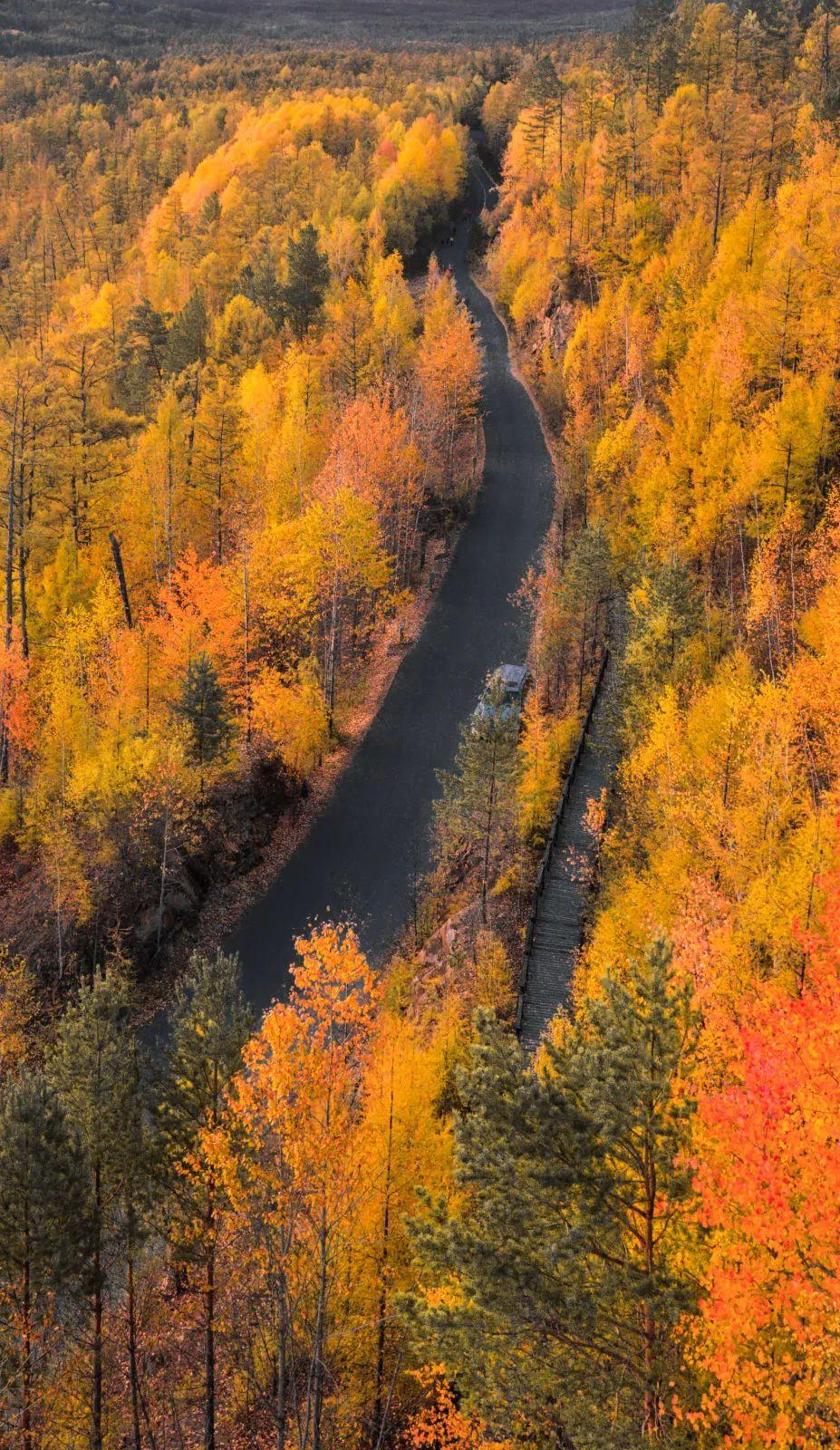 长白山|一个夏天都没出门?不如做一回“第一个看秋色的人”,可好?