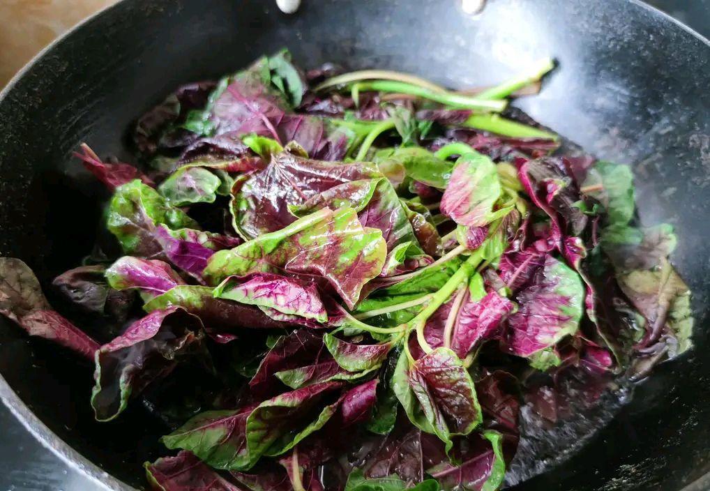 白血病|秋天过半莫疏忽，提醒中老年人：多吃“4样宝”，清热营养解秋燥