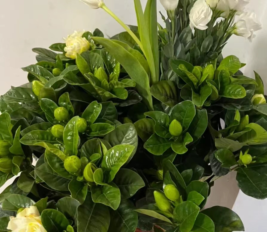 |孙海洋称带孩子出去野,孙辉看上的东西稀奇古怪,洋洋想修理辉辉