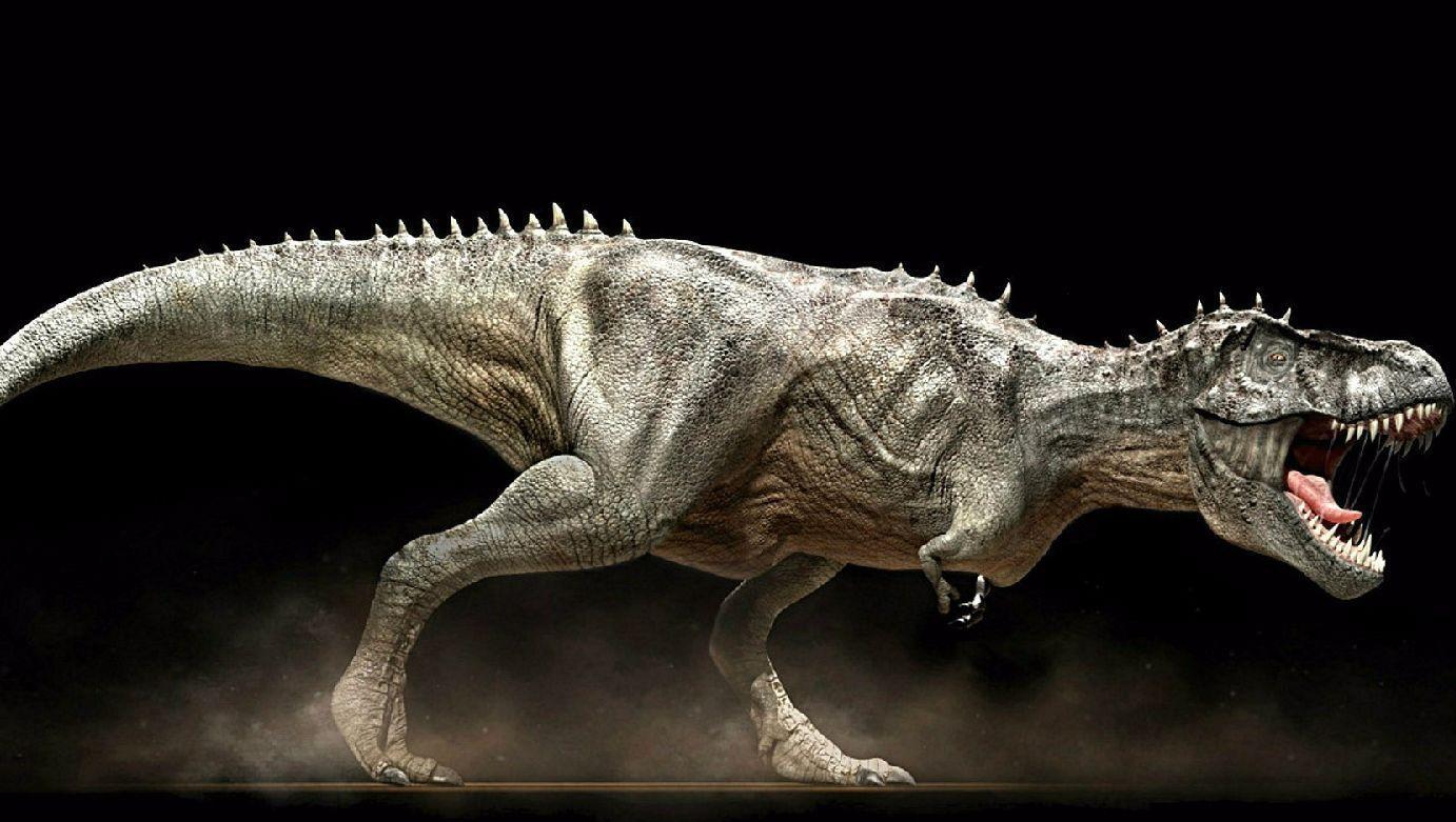 科学家重建了恐龙的生殖器，穿越千万年，终于掀开了恐龙的遮羞布