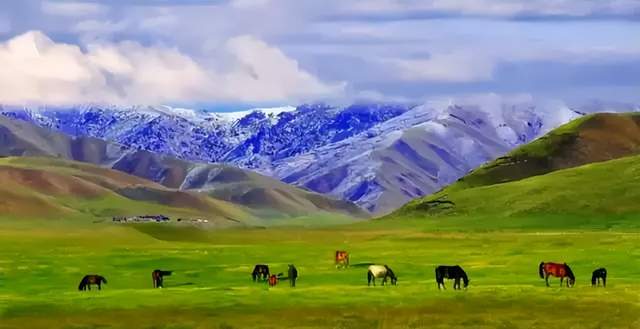 李公麟|马魂:边塞军马画家高岩对胡人汉化进程中的独特审视与心理体验