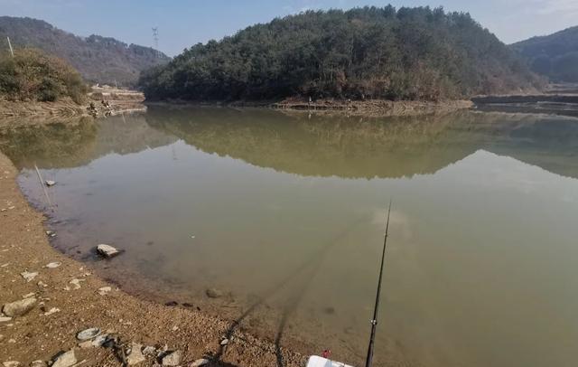 |野钓想爆护就得起早，做好2件事，钓半天能顶别人一天！