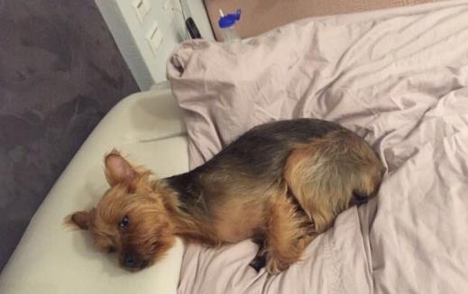 何润东晒出自己的豪宅，夫妻俩都活得好真实，衣柜里的衣服都不叠