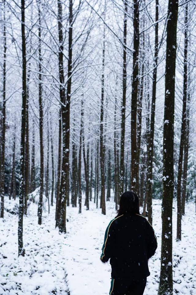 美食|成都过年指南丨耍雪+美食攻略，最快1.5h刹拢！