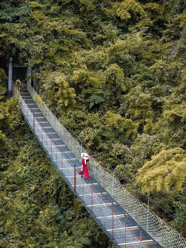 莽山|广州出发去韶关，一路上会有什么景区呢？
