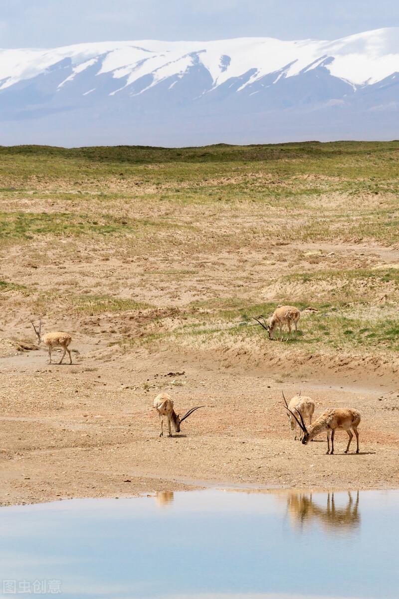 世界自然遗产|中国的14处世界自然遗产名录，人类宝藏旅行目的地，你去过几个？