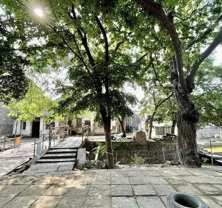 苏州|魔都周边最孤独的小岛，仅1%国人知道