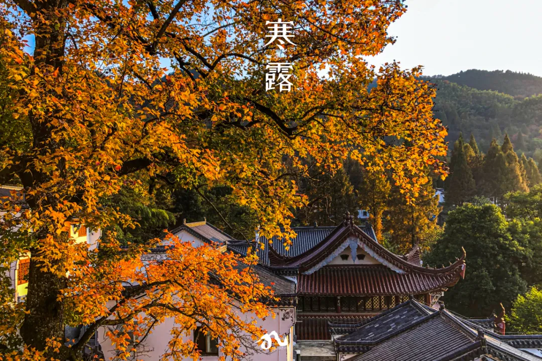 收藏!九华山版二十四节气壁纸,够浪漫~