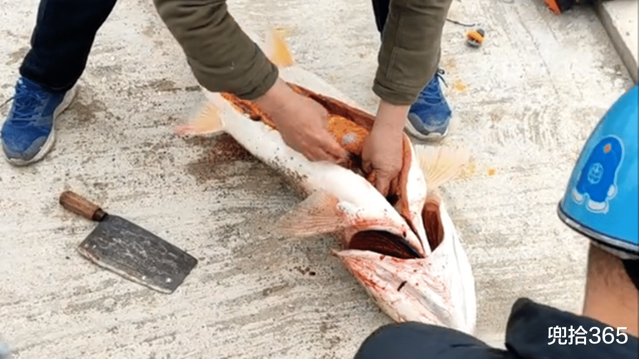 老虎|广东男子野钓收获米级“水老虎”,掏出菜刀就宰,随后的做法亮了